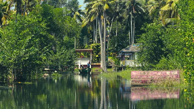 Kerala backwaters and coconut palms