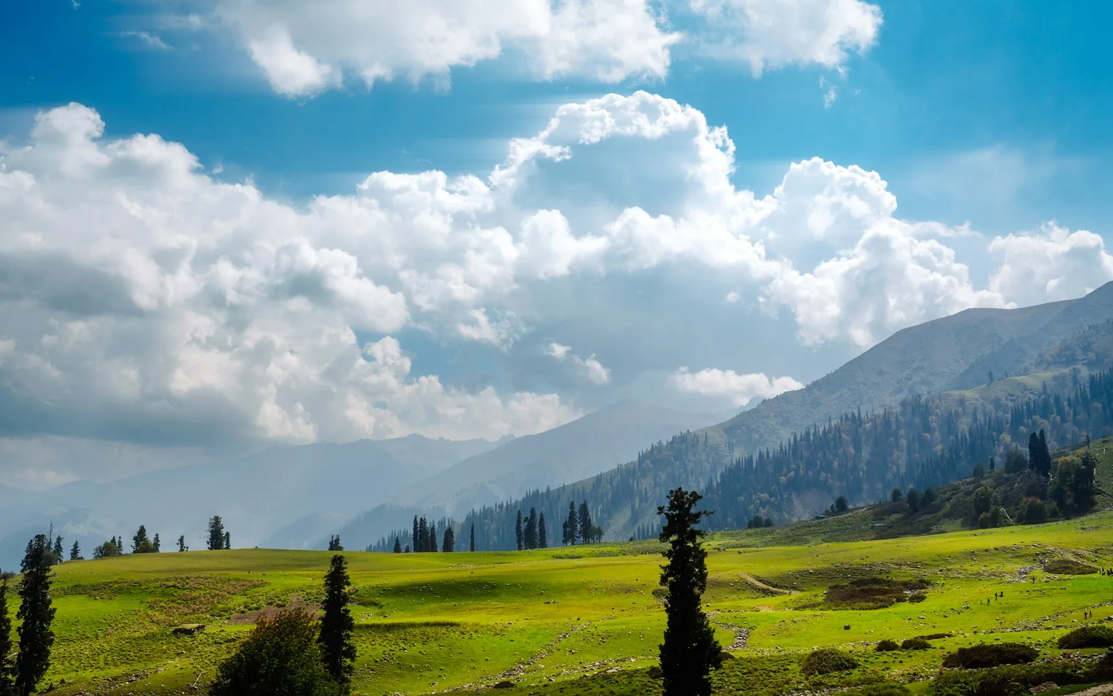 Green meadows and mountains at Gulmarg