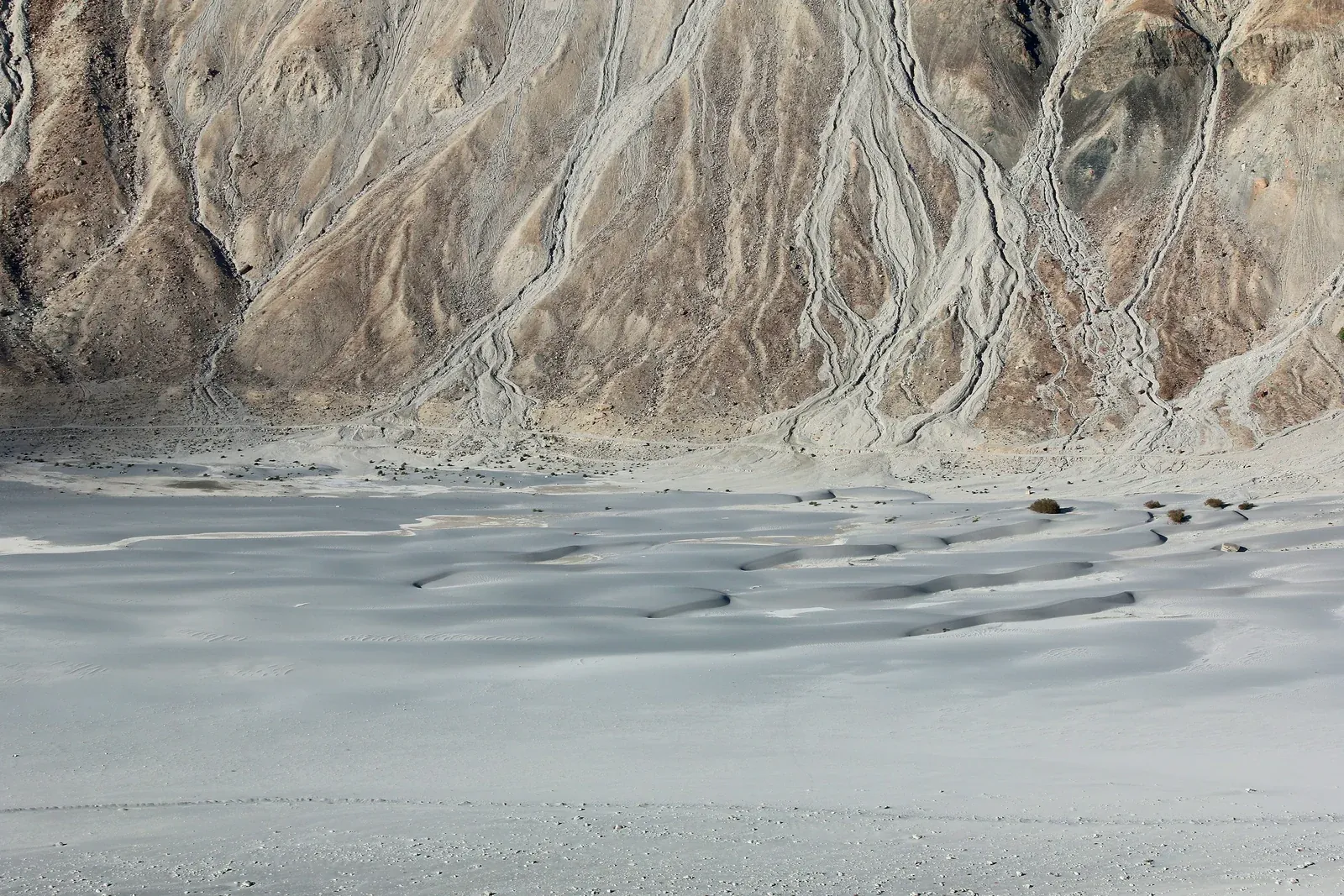Sand dunes and mountains at Hunder in Nubra Valley