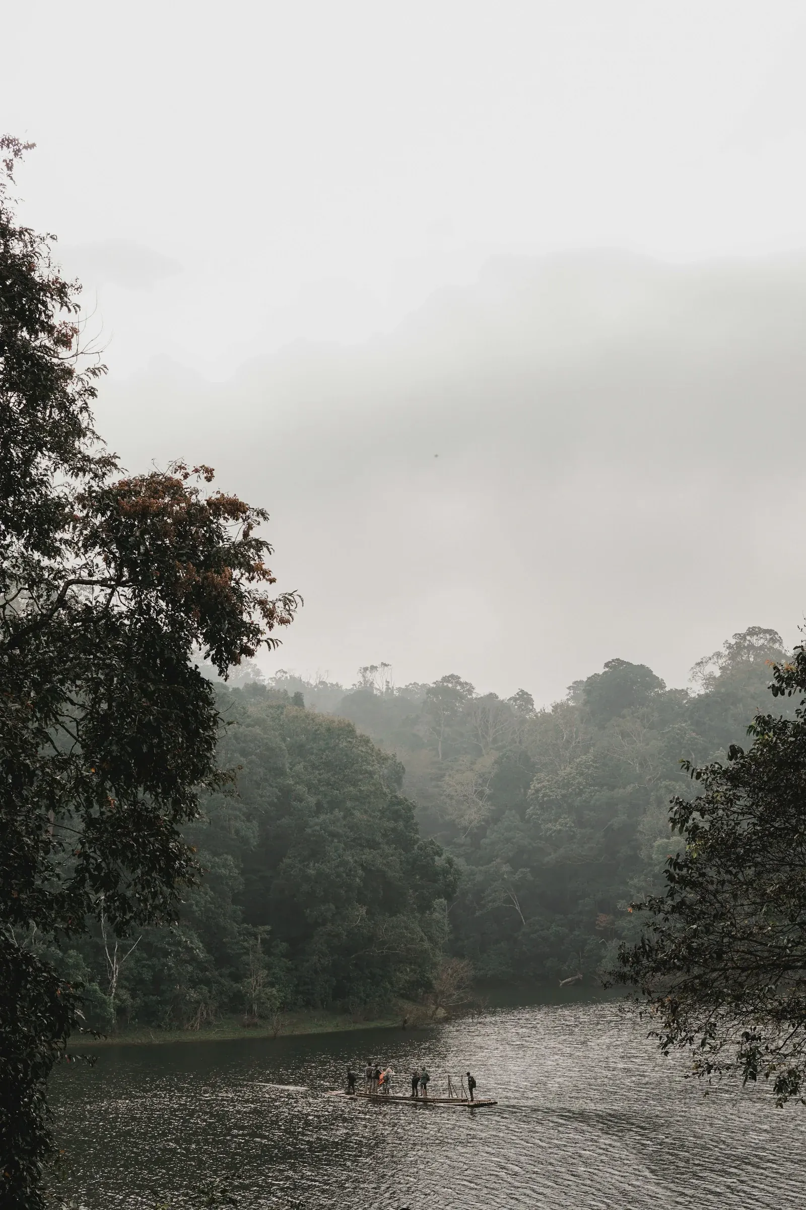 Forest and lake scenery in Thekkady