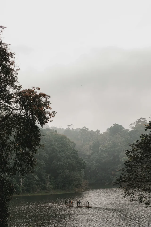 Forest and lake scenery in Thekkady